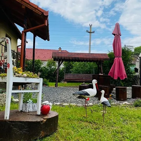 Casa Raisa & Maria Ocna Sibiului